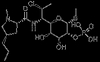Clindamycin phosphate