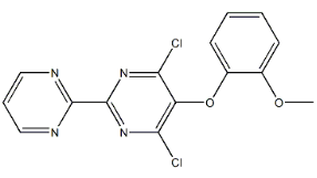 4,6-Dichloro-5-(2-methoxyphenoxy)-2,2'-bipyrimidine