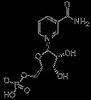 β-Nicotinamide Mononucleotide--NMN