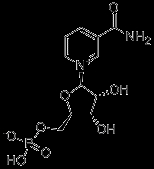 β-Nicotinamide Mononucleotide--NMN